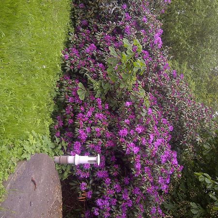 บุนเทส โมร์ Bed & Breakfast Grasberg ภายนอก รูปภาพ